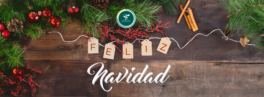 🎄Gracias por ser parte de esta comunidad de empresas comprometidas con la construcción de un campo más justo y con la mejora de las condiciones de vida de sus colaboradores.
Todos los que formamos parte del equipo de 🌱 Ahifores les deseamos  una 🎁 ¡Feliz Navidad! 🎅 🎄