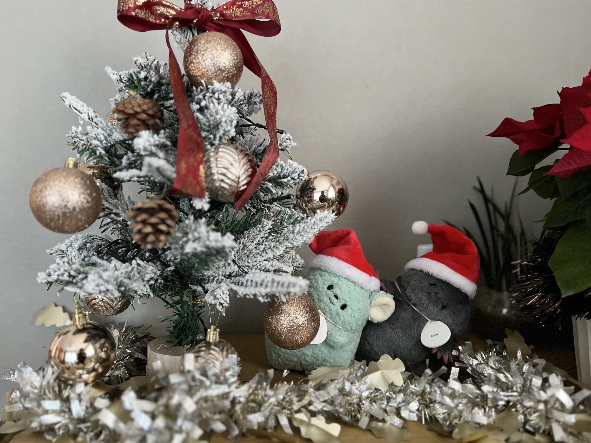 即購入OK！ ★SALE★ MERRY Xmas*↟⍋*↟⁡⁡