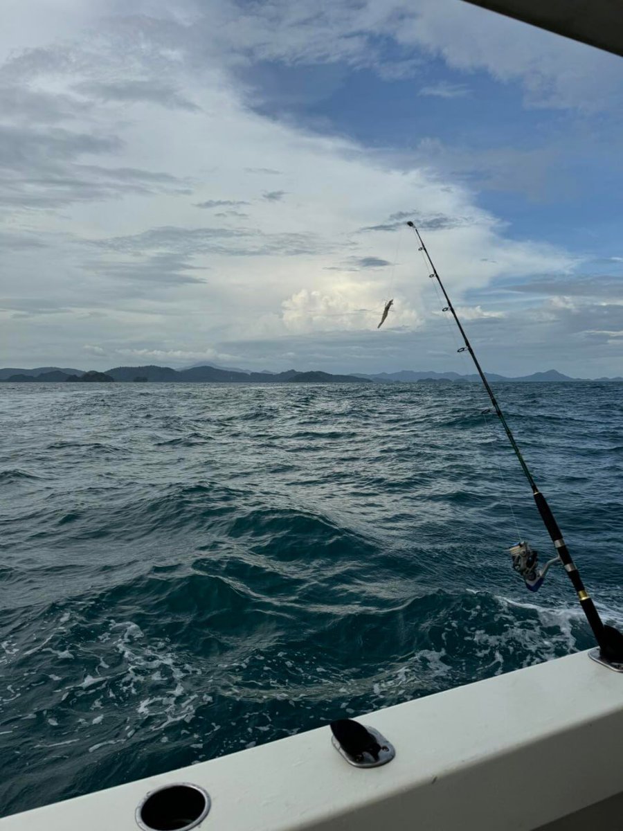 Encrypt_Kate's tweet image. 今日はいいことがありますように☺✨