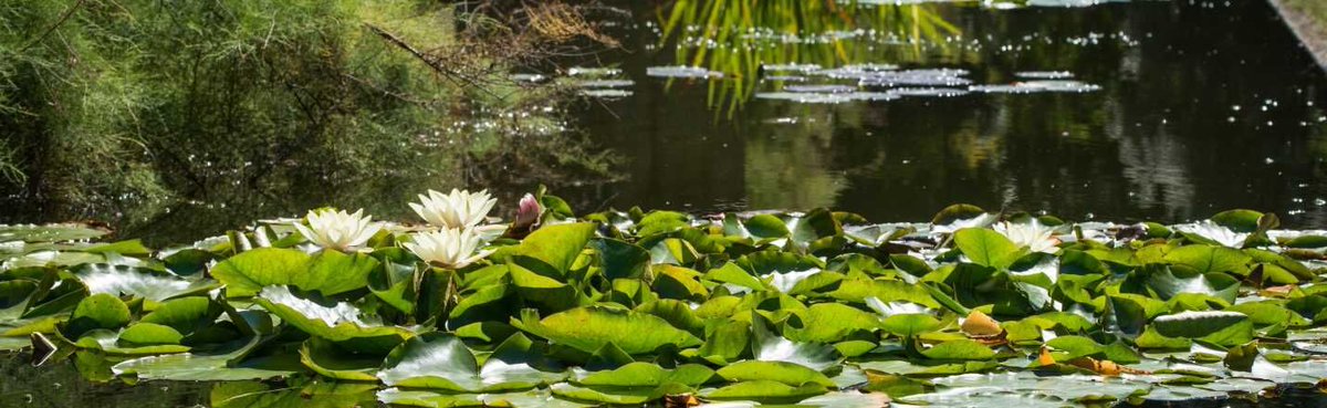 CatzConferences's tweet image. Make the most of your visit by staying at St. Catz. Comfortable rooms, exceptional service, and a prime location await: bit.ly/3ykdEEM
#StayAtStCatz #OxfordAccommodation #ConferencePerks