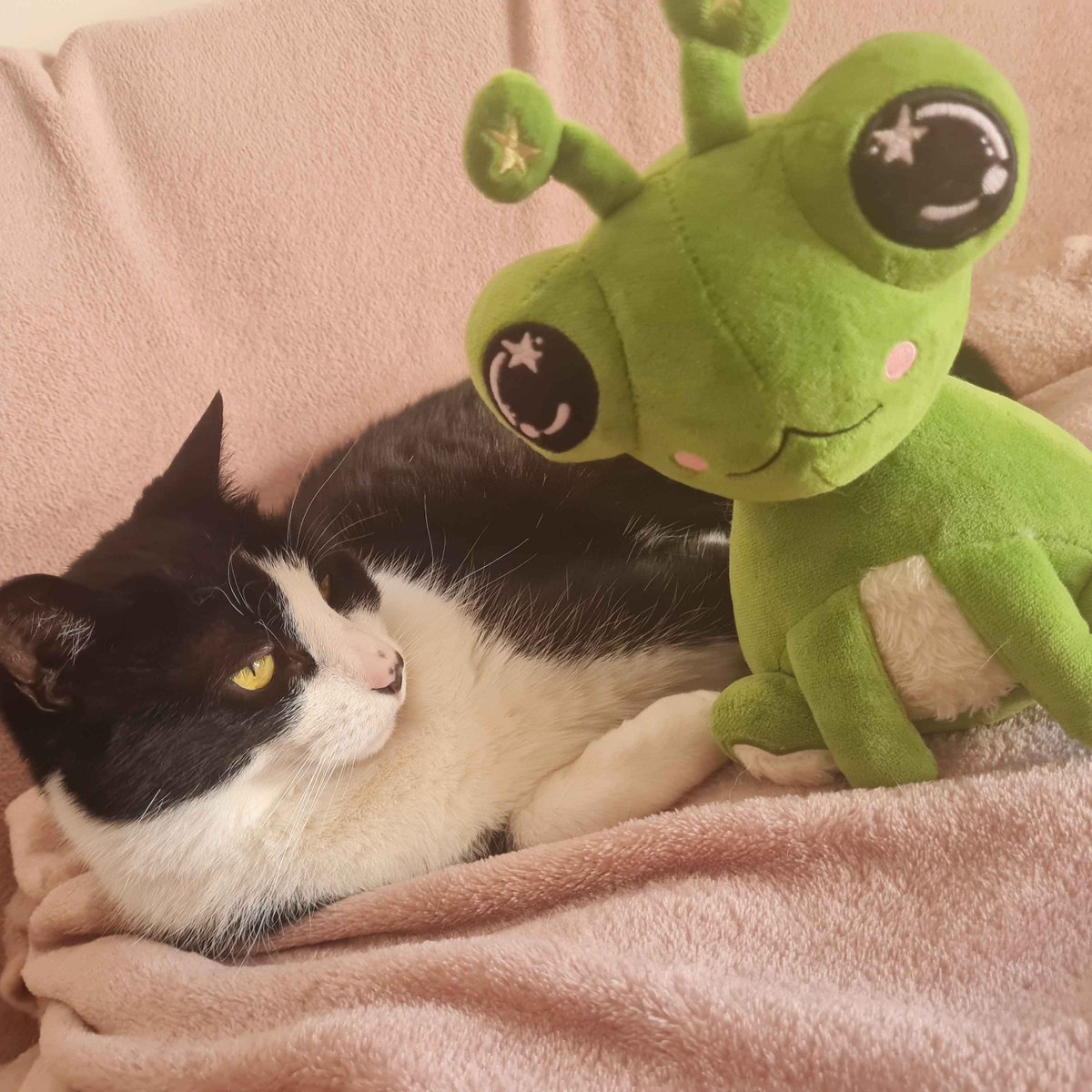 Frogger tweet media