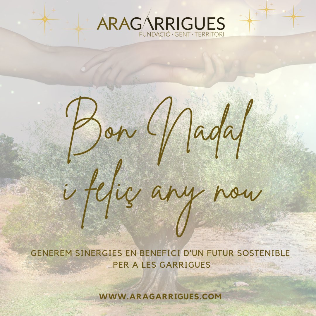 🎄Aquest Nadal, des de la Fundació Ara Garrigues, volem fer valdre la força de la nostra comarca i el compromís de la seva gent. 

Treballant junts, podem aconseguir un futur sostenible per a tots.🤝

Bon Nadal i un 2025 ple d’oportunitats!"*✨⭐️