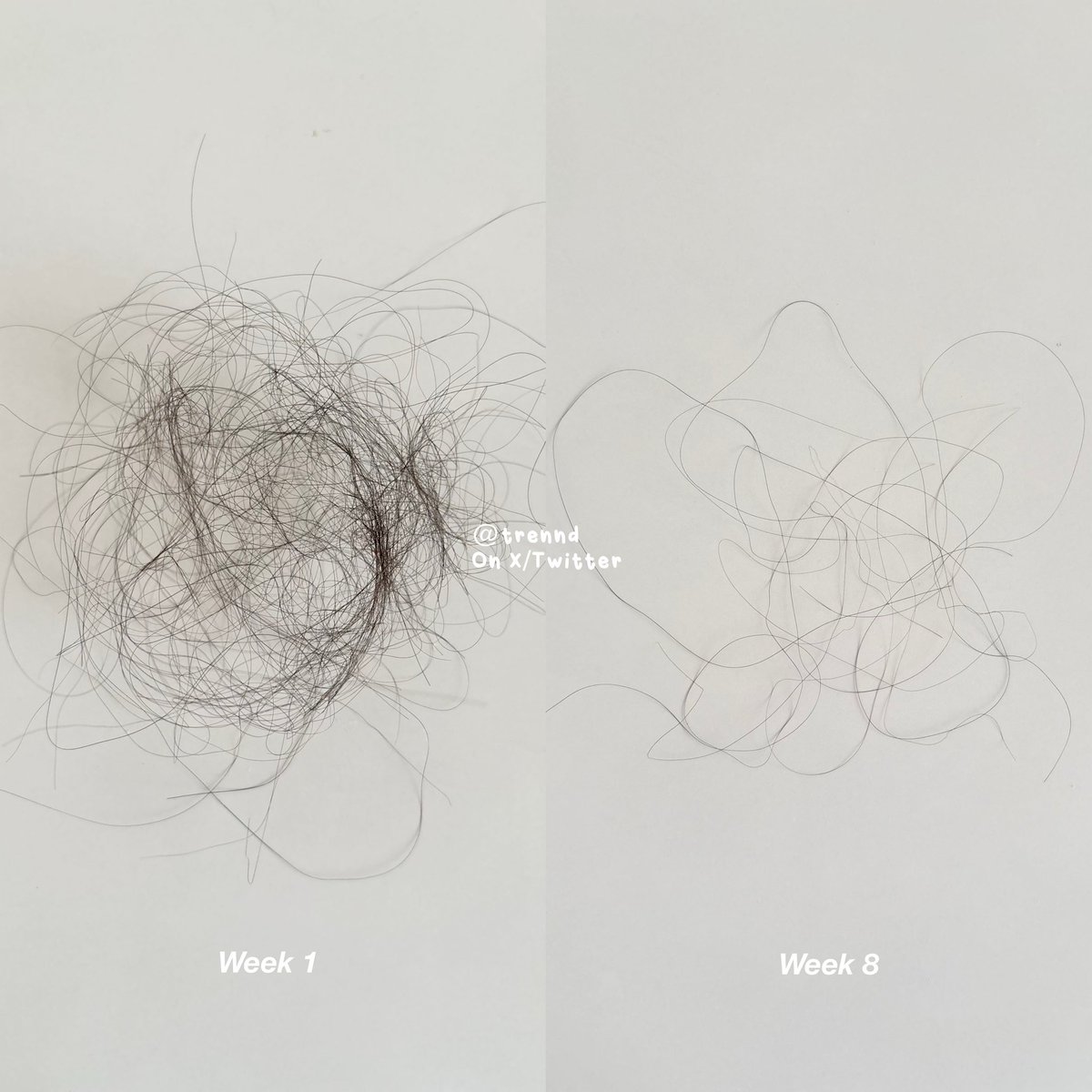 trennd's tweet image. The Product                    vs.                    The Result