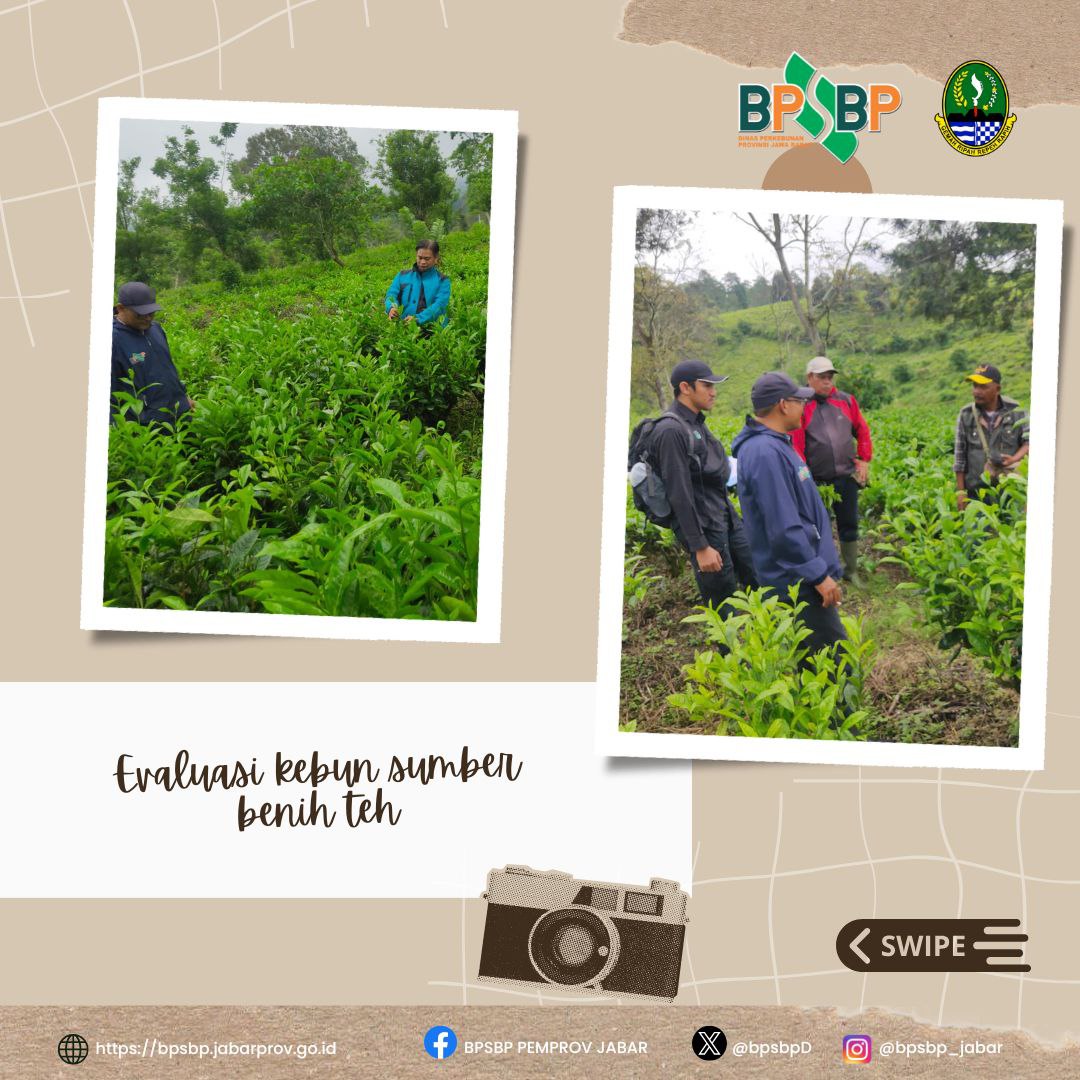 BPSBP.DisbunJabar tweet media