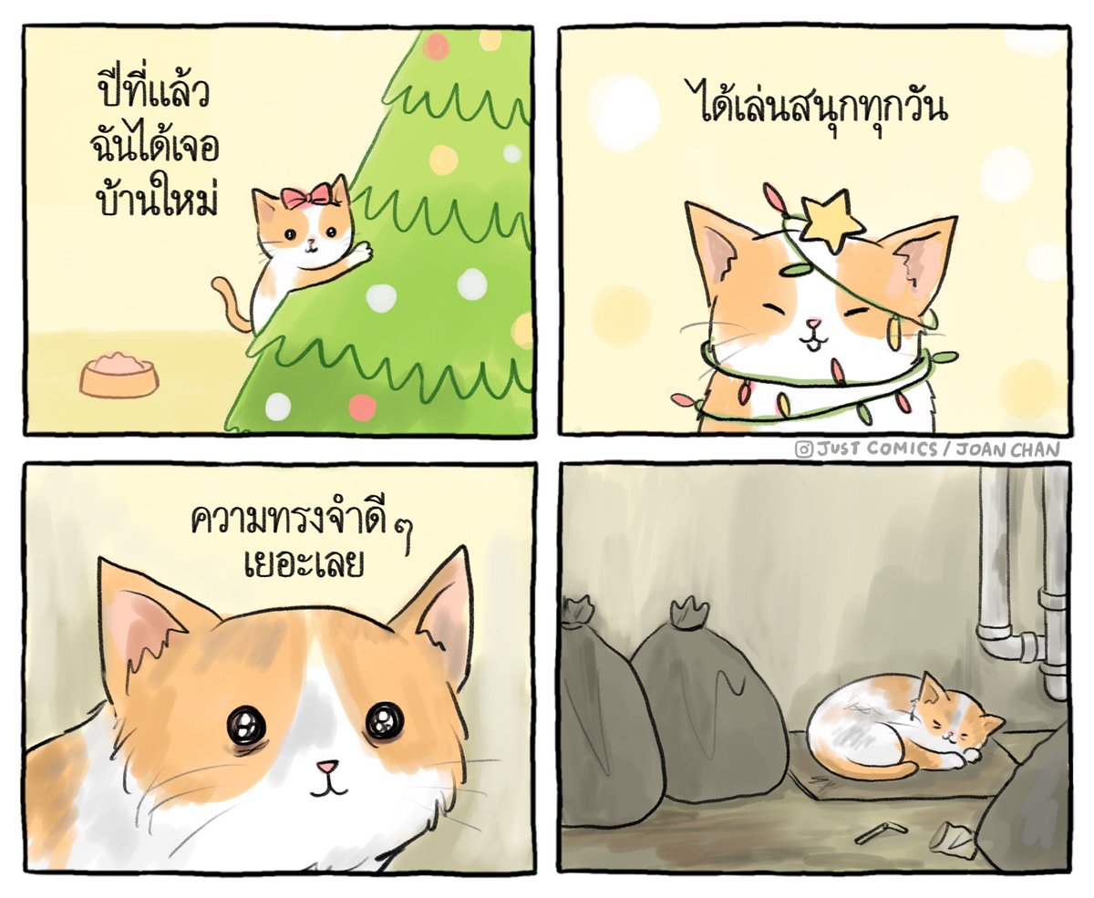allanimalsth's tweet photo. สัตว์ ≠ สิ่งของ
เทศกาลให้ของขวัญนี้อย่าลืมนึกถึงใจสัตว์กันน้าทุกคน🥹🎁

ชีวิตทั้งชีวิต ถ้ารับเขามาแล้วก็ดูแลให้ดีที่สุดเถอะนะ

#สิทธิสัตว์ #วีแกน #adoptdontshop #รับเลี้ยงไม่ซื้อขาย #สัตว์จรควรมีบ้าน 

cr: @justcomics_official https://t.co/BXuzvENNiY