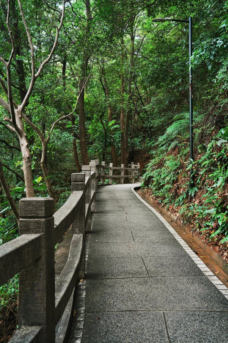 따뜻함의 흔적을 남기세요. 세월이 숲을 지나며 원 모양의 성장 고리를 남깁니다.