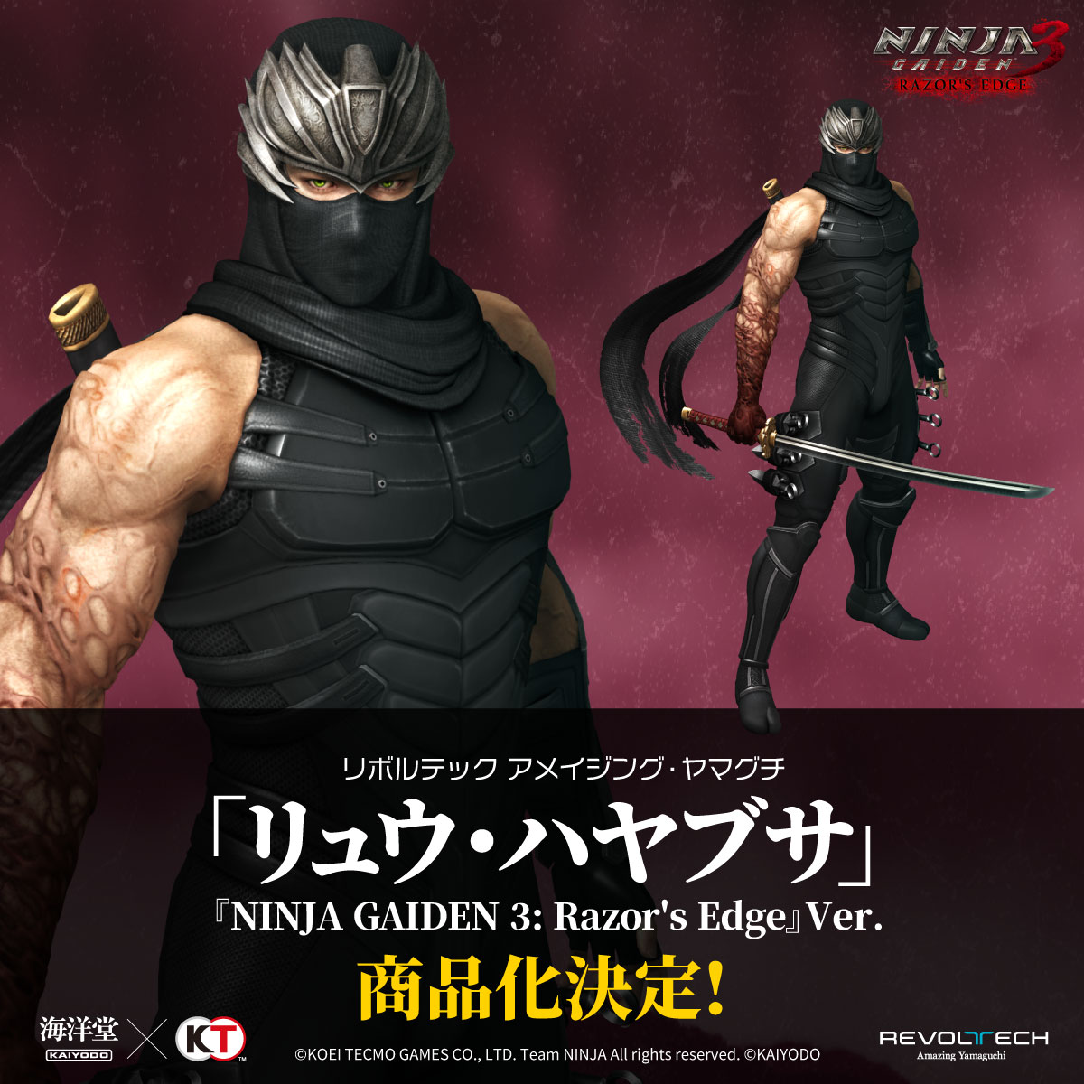 アメイジング・ヤマグチ リュウ・ハヤブサ NINJA GAIDEN(ニンジャ