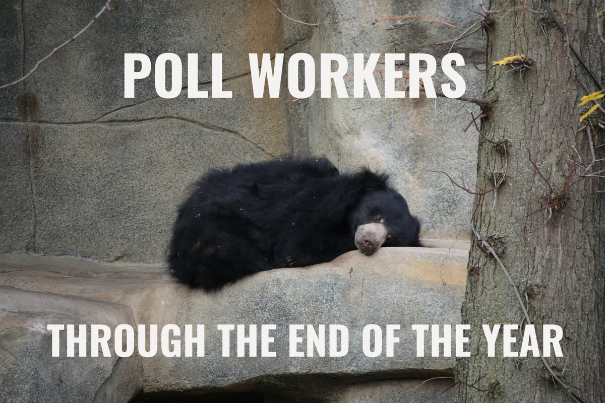 After a busy election season, it's time to rest up. If you're hibernating, we get it. You've earned it! 😴