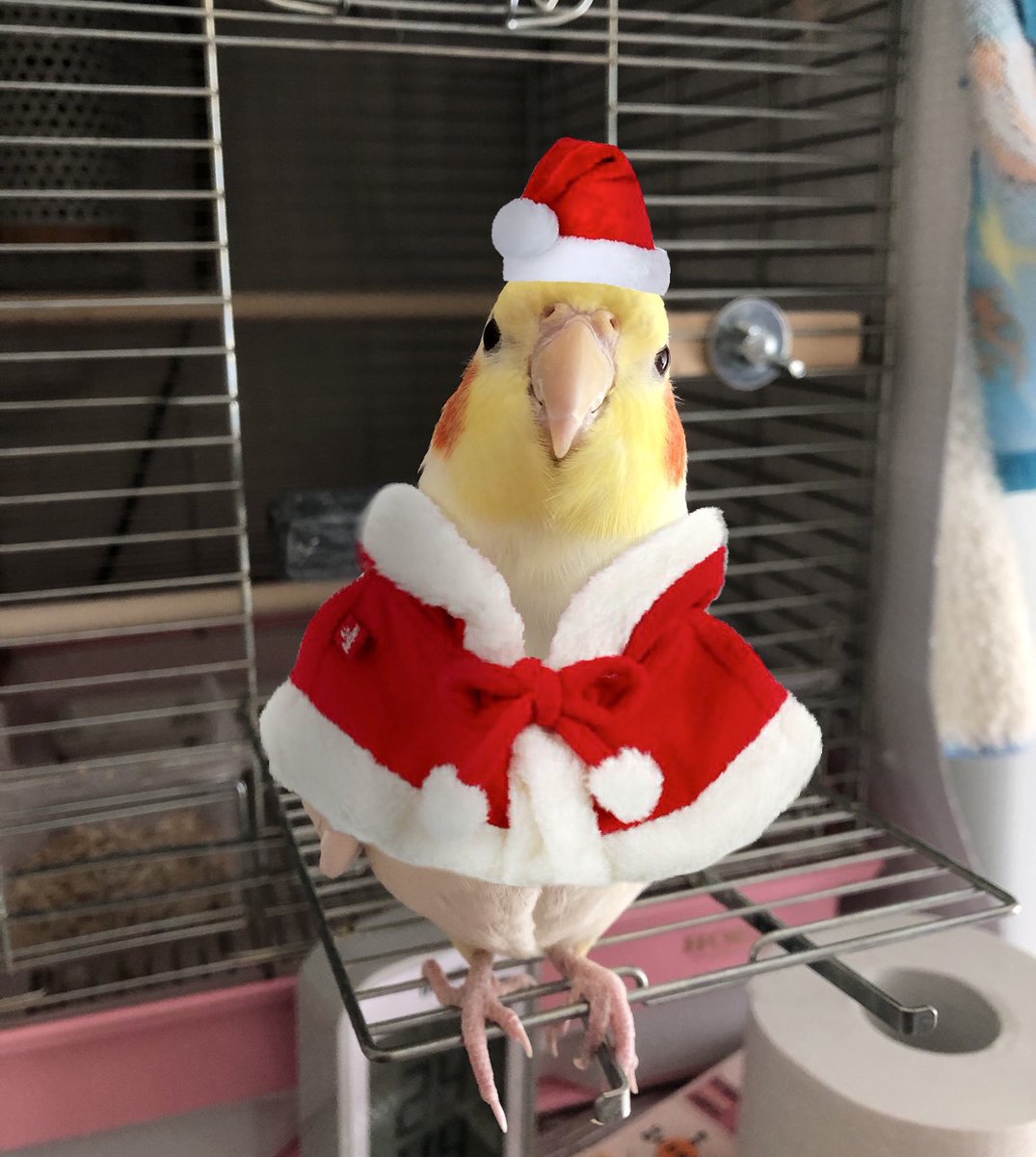 🎄クリスマスイブ🎄