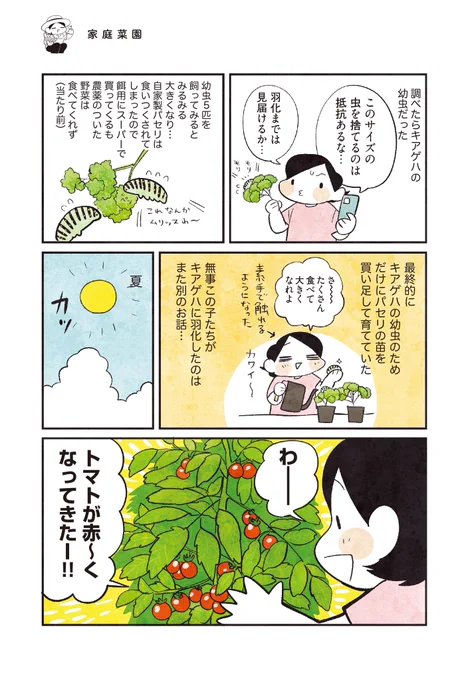 (3/4) 