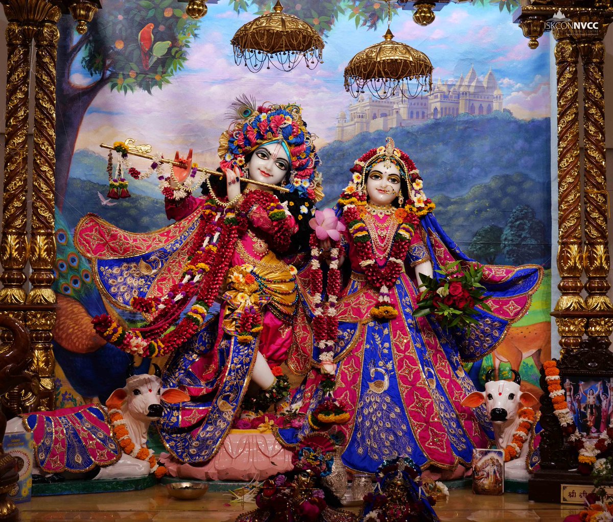 ISKCONPune's tweet photo. 🙏🏽Today's Darshan 📿 🗓24-12-2024🙏
🌷Sri Sri Radhavrindavanchandra🌷
🚩@ISKCONNVCCPune🚩
.
.
#ISKCONNVCC #ISKCONPune #ISKCONNVCCPune #ISKCON
#24thdecember #24thdecember2024 #Monday
#Harinaamsankirtan #Radheshyamdas #Radheradhe
#Sankirtan #Kirtan #Vrindavan #Mayapur #Prabhupada https://t.co/g5aLs5tYZV