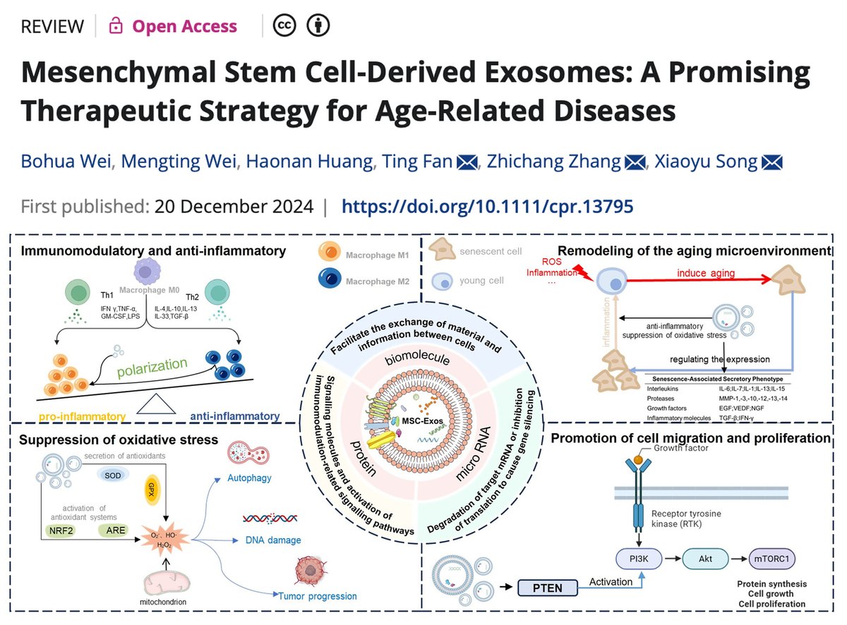 Cell Proliferation tweet media