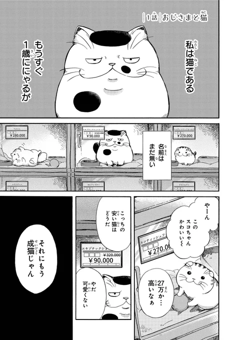 おじさまと猫(1/2) 
