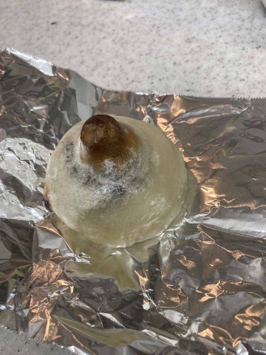 ワクワクしながらグリルで
いきなり団子焼いたら
いきなりおっぱいで帰ってきた😅