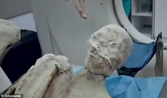 TrueCrimeUpdat's tweet image. The case of Peru&apos;s mysterious &apos;alien mummies&apos; deepens with the introduction of two new specimens, Paloma and Antonio, reportedly found in the Nazca desert

These mummies, similar to previous discoveries, possess three fingers and small slanted eyes, but are described as the size…