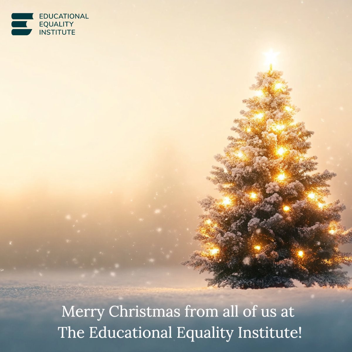 As the year draws to a close, we want to wish everyone a Merry Christmas! ✨

Wishing warmth, joy, and happy moments to all. 

Thank you to our partners, supporters, and the communities we serve.

#SeasonalGreetings #MerryChristmas