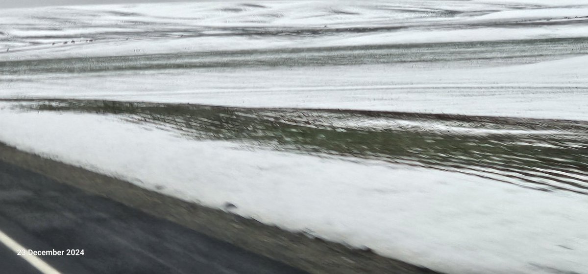 Stefan Meyer 🇺🇦🇨🇦🇦🇺🇨🇭 tweet media