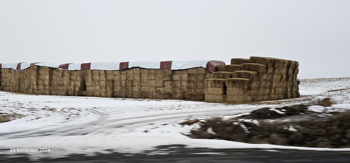 Stefan Meyer 🇺🇦🇨🇦🇦🇺🇨🇭 tweet media