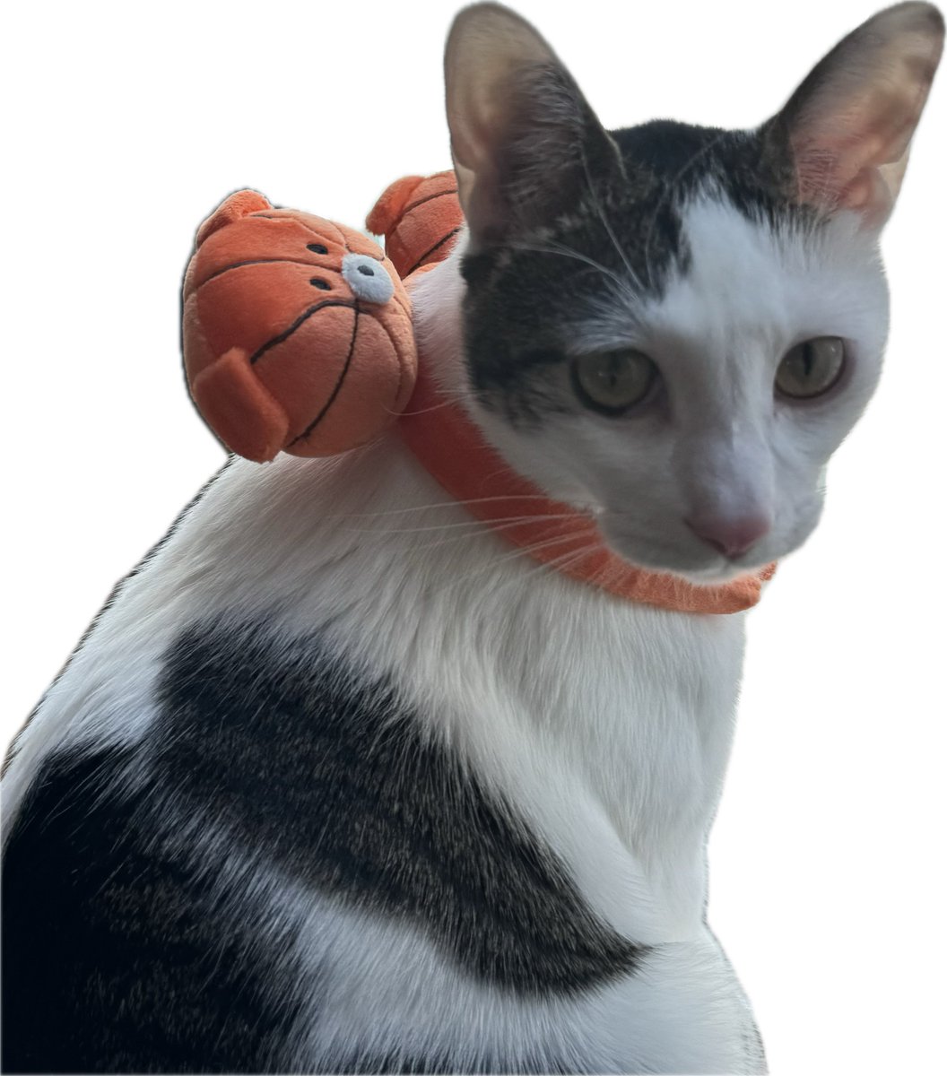 감사합니다💓🏄🫶🫶