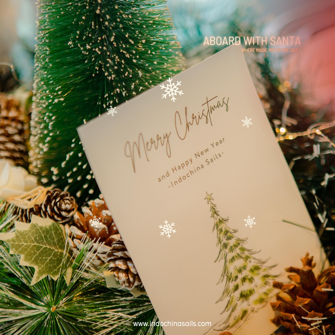 IndochinaSails's tweet photo. May the spirit of Christmas fill your home with warmth and love. 🎄 Indochina Sails wishes you a joyous holiday season filled with peace and happiness. ❤️

Tonight, let's get ready to sing, dance, and dream of a magical gala dinner with us this holiday season. ✨ https://t.co/bk46W3x19X