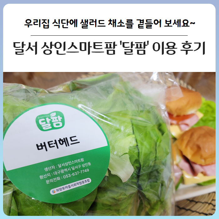 happydalseo's tweet photo. [대구 달서구] 우리집 식단엔 샐러드 채소와 함께! 달서 상인스마트팜 ˙달팜˙ 이용 후기 (출처 : 대구 달서.. | https://t.co/8COaDFRPj5 블로그) https://t.co/yTuTPcFmTL https://t.co/NDYj2lqcGL