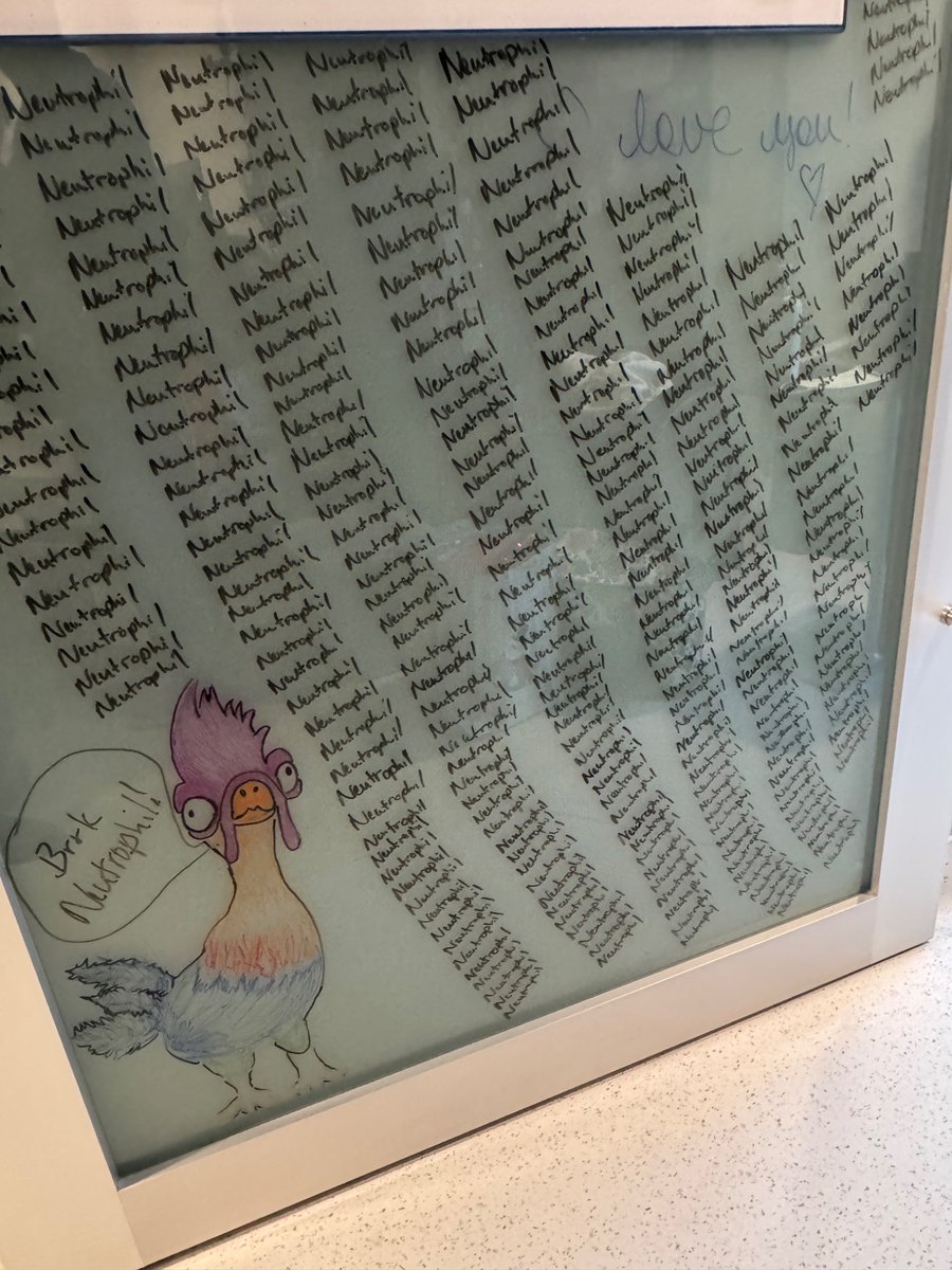 Anurag Singh tweet media