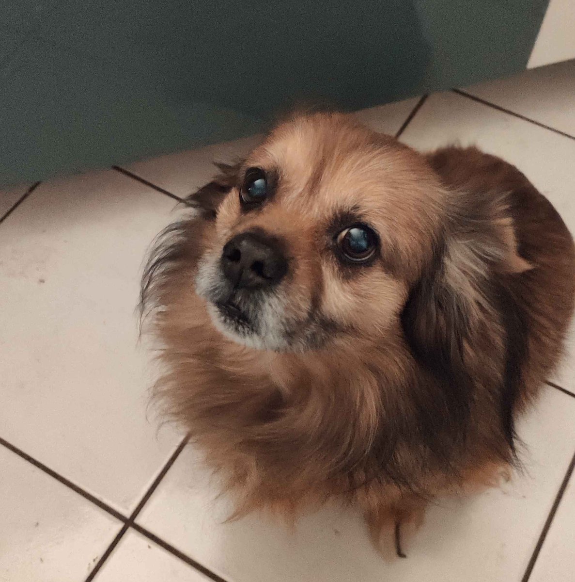 Krominus tweet media