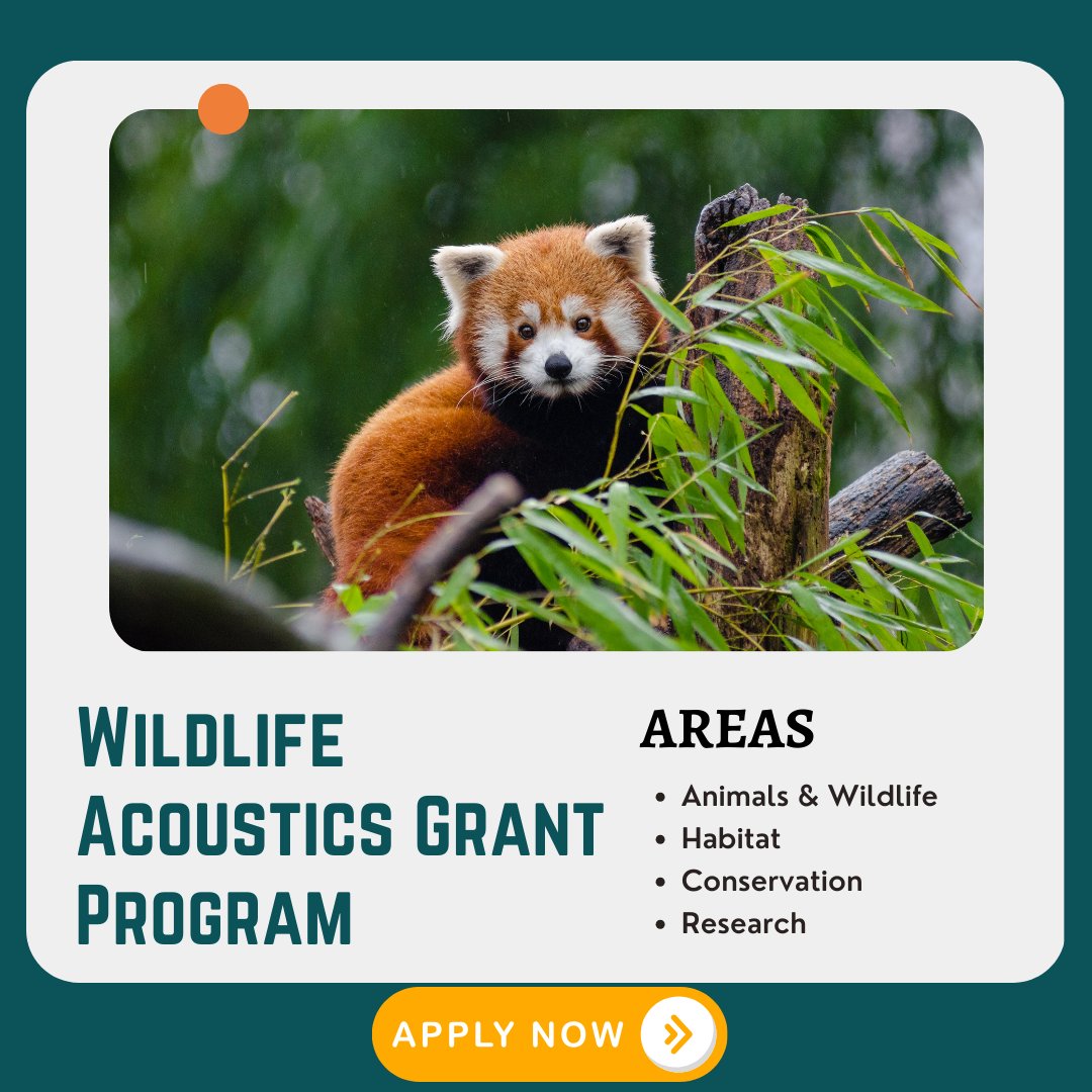 fundsforNGOs on X: &ldquo;🌿 Apply for the Wildlife Acoustics Grant 