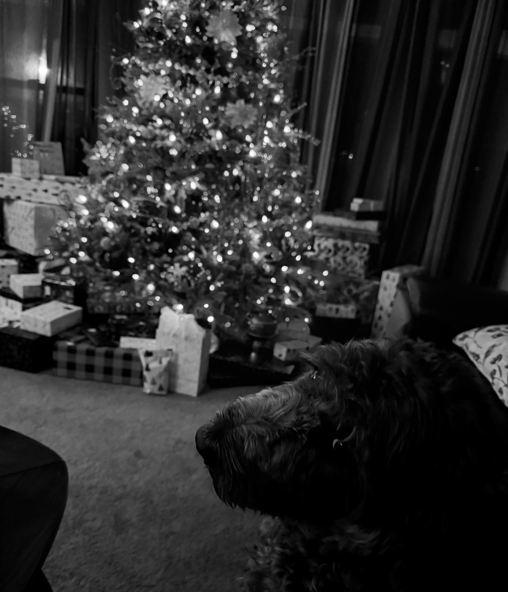 Merry Christmas web3 from <a href="/_DSKDAO_/">DSK (FREE mint)</a> ! Christmas 🎄 🐾 

The entire <a href="/ALLDAYDSK/">AllDayDSK</a> community,  <a href="/HoudiniWizard/">Harry Houdini DSK (Ø,G)</a>, <a href="/Wookiee3001/">Nicole L ⛩️ DSK ♥️</a>,  <a href="/GRIBBUB/">nibblenuts 🪐/DSKDAO - CM/#DSK4LIFE</a>, and of course <a href="/LongedEth/">BluΞ 😈🛠</a>,  all wish Web3 a safe and amazing holiday.