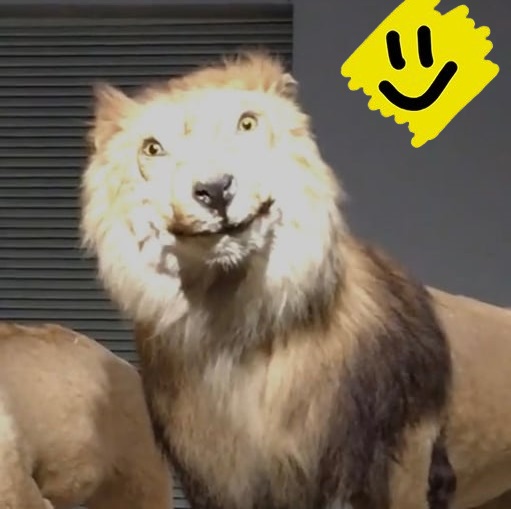 the real question is.....

wen <a href="/BainanceLabs/">Bainance Labs (Parody)</a>?