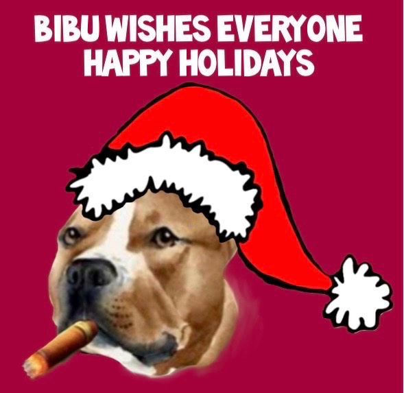BibuToken's tweet image. 🌲BIBU team wishes everyone happy holidays 🌲