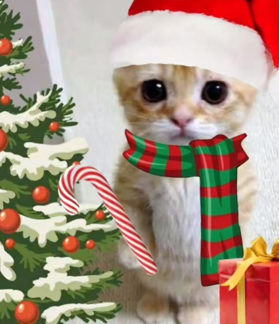 0xtearss's tweet photo. @AltcoinDailyio If bitcoin can reach $120k by Christmas, $Elgato will be sure to bring extra gifts for the family. https://t.co/e2SGlUEVEU
