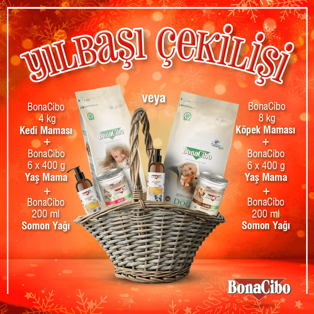 🎄 BonaCibo'da #Yılbaşı Çekilişi! 🎄

5 takipçimize dolu dolu bir yılbaşı sepeti #hediye! 🤩

👉 <a href="/BONACIBO/">Bonacibo Cat & Dog Food</a> hesabımızı takip et. ✔️⁠
👉 Gönderimizi beğen ve repostla. ❤️⁠
👉 Bir arkadaşını yoruma etiketle. 💬⁠

Sonuçlar 3 Ocak'ta açıklanacaktır. 🤩
