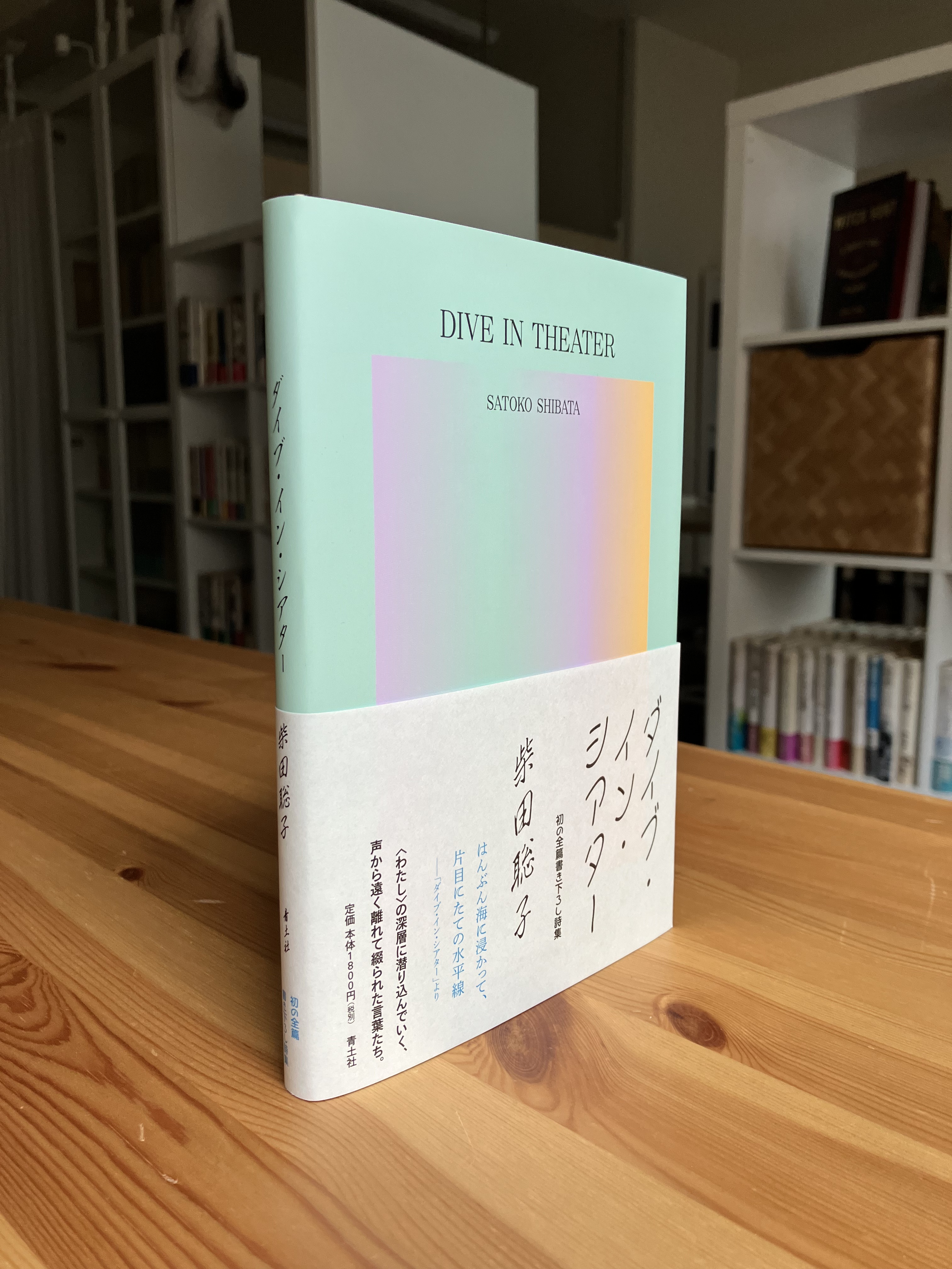 柴田聡子|Satoko Shibata on X: 