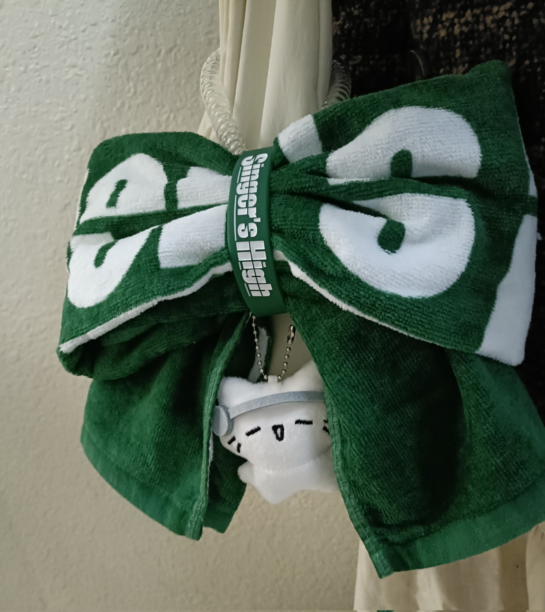 バンドのラバーバンド、タオル等 5d1d9d11693d3.jpg