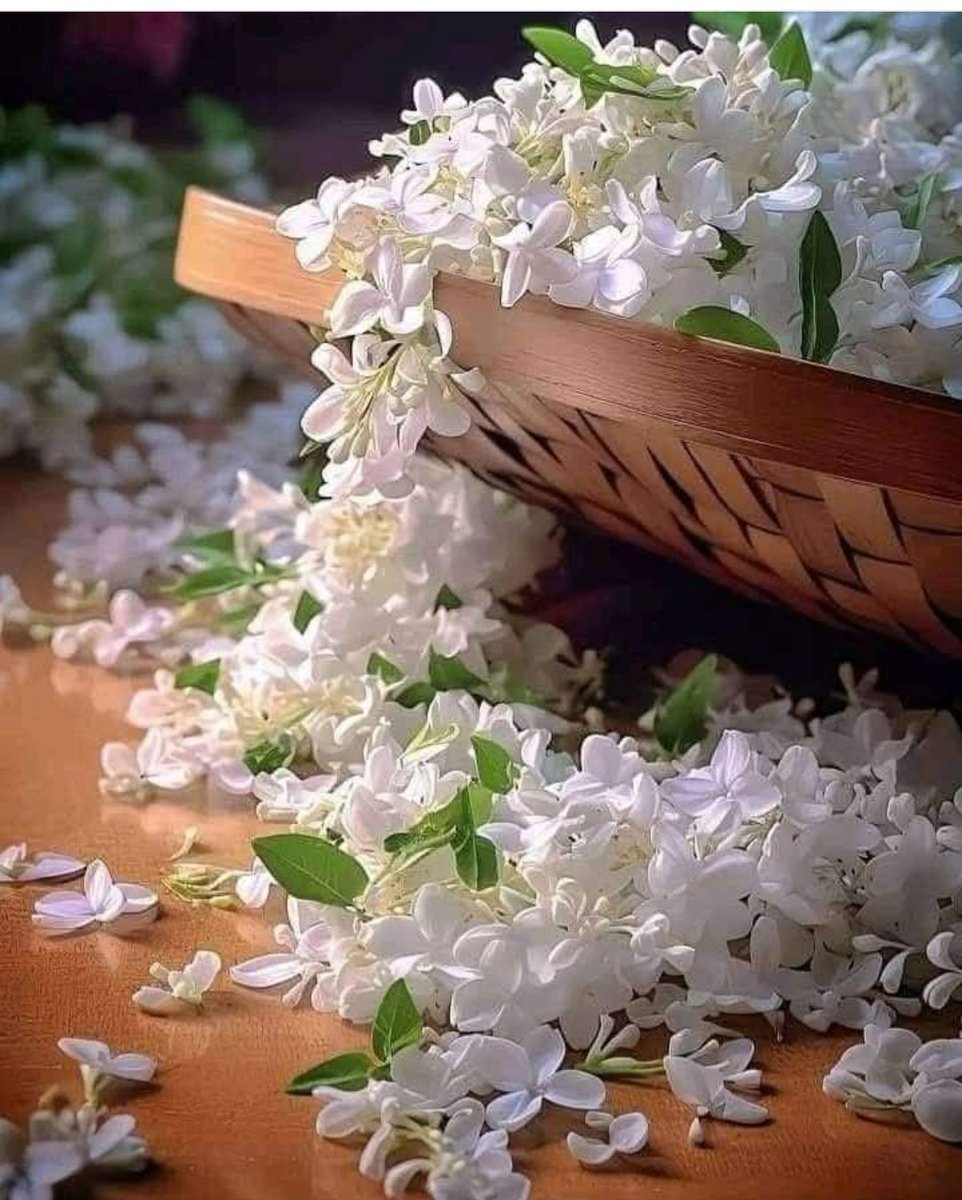 الله لطيف بعباده .. اللهم لك الحمد والشكر كله..

#حياة