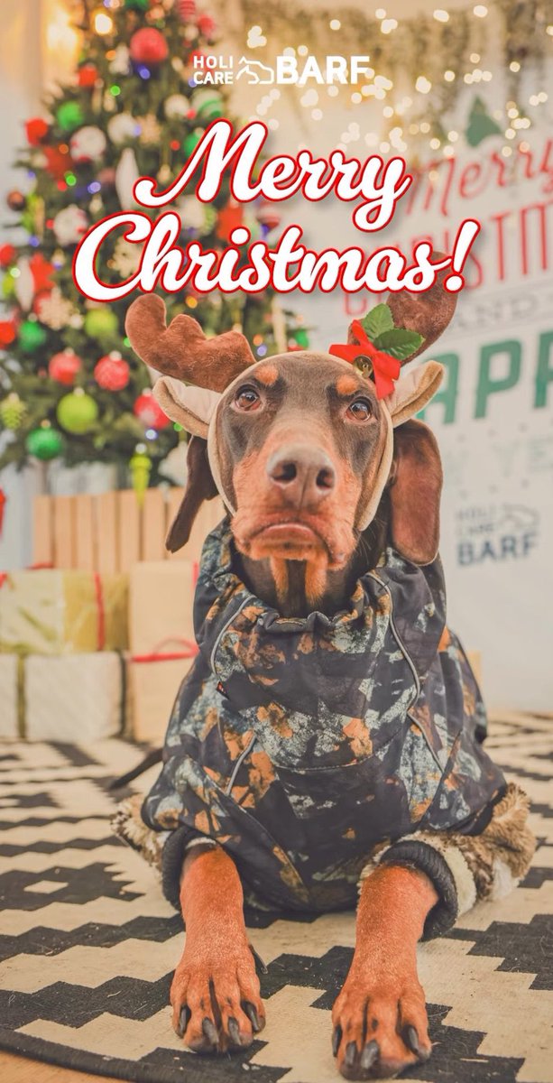 Daily_JKUpdate's tweet photo. BAM’s Christmas Photo 🥹❤️ #정국 https://t.co/66KYat05cP