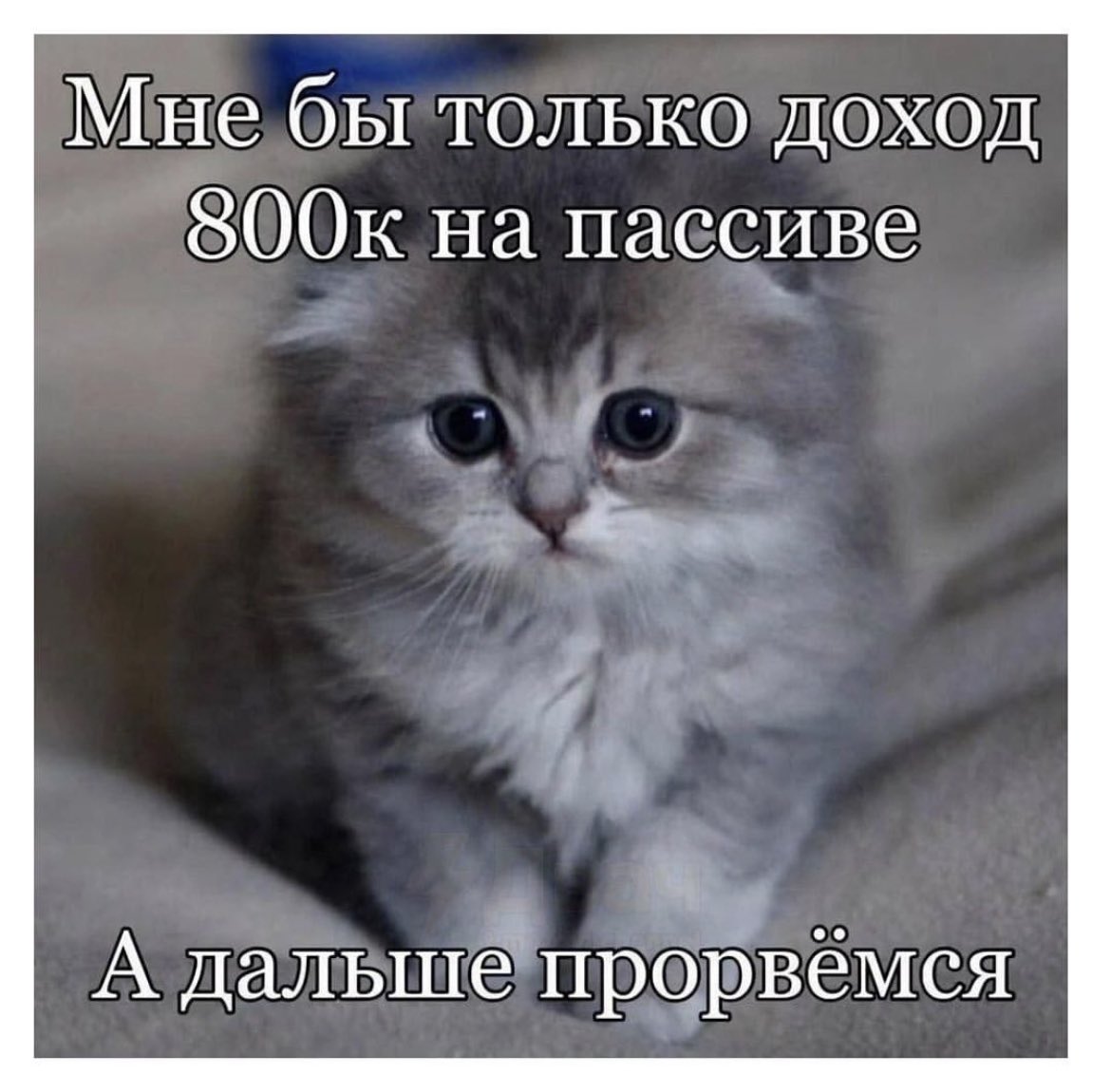 Anna Truf (@annatruf) on Twitter photo 