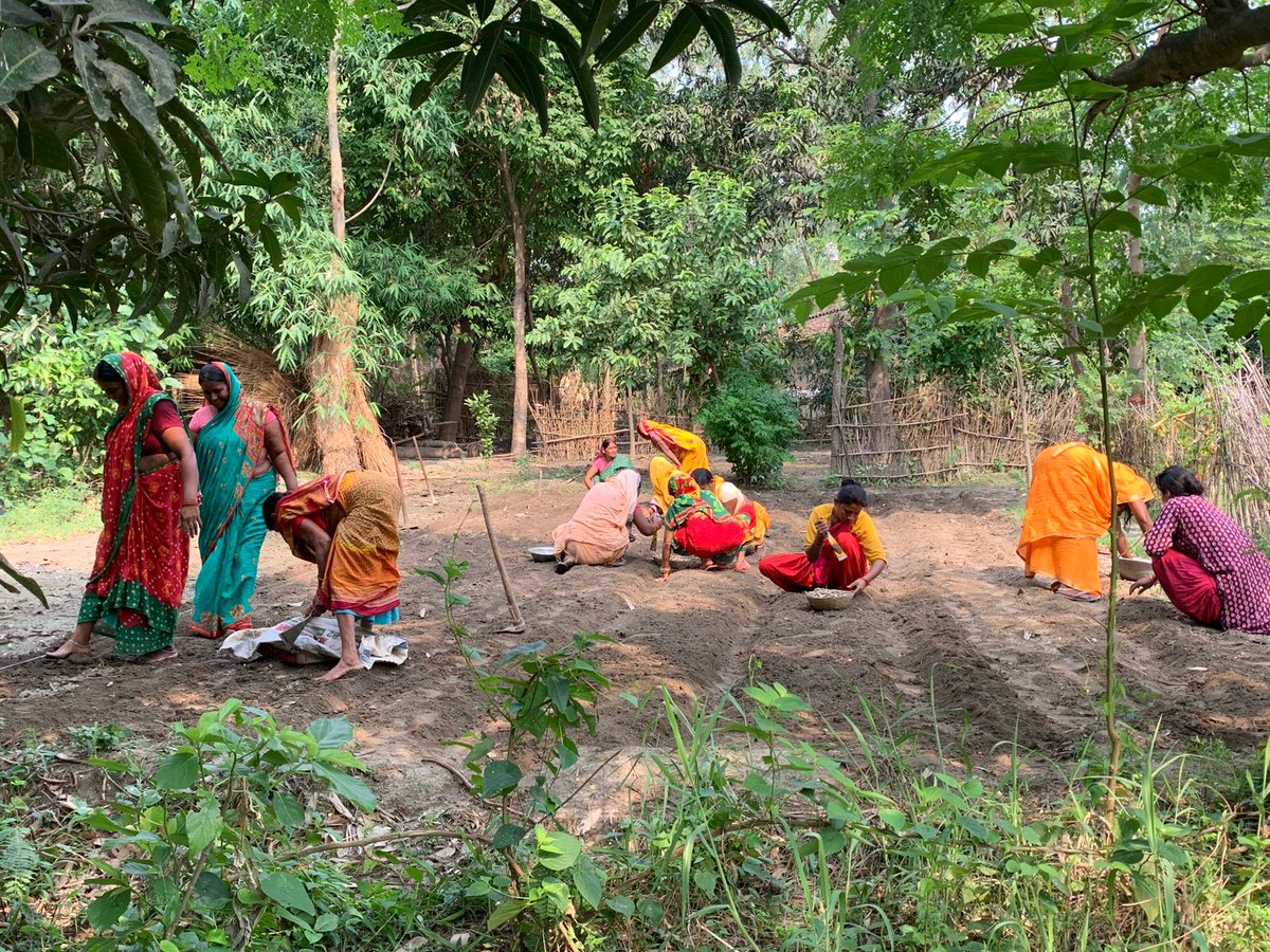 VSO Nepal tweet media