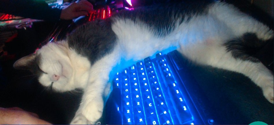 DeFi FUD-Destroyer tweet media