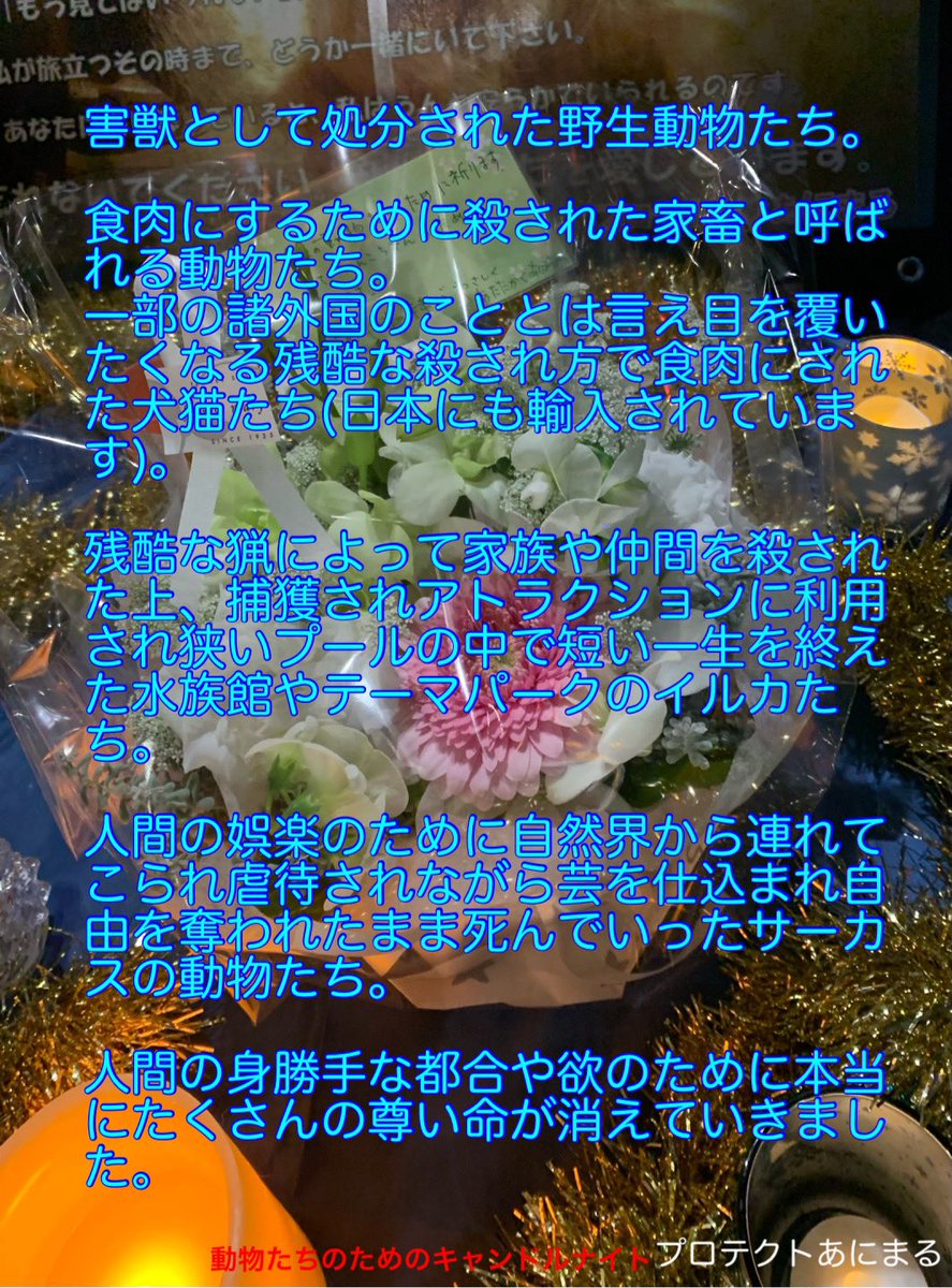 今年も『全国一斉　動物たちのためのキャンドルナイト』開催中です。

生きたくても生きることを許されなかった動物たちのために…
今も苦しみの中で懸命に生きている動物たちの未来のために…
キャンドルか動物たちの写真と共に
#動物たちのためのキャンドルナイト　の#を付けて投稿してください
