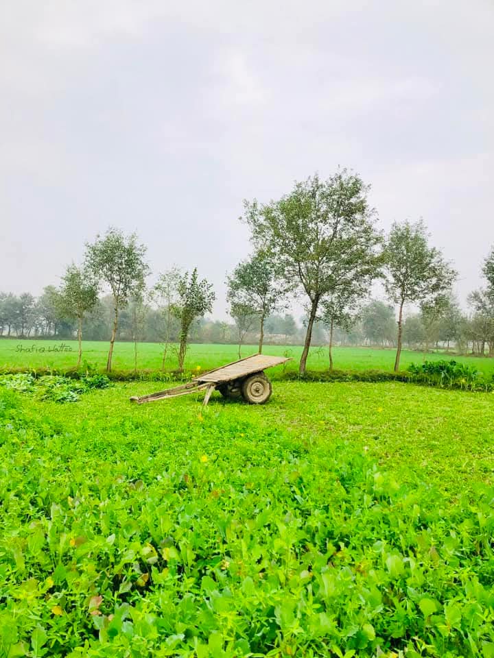 Good Morning X Mates.