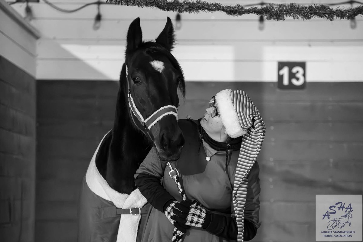 Just an Elf admiring her steed 🎄🎅🏻