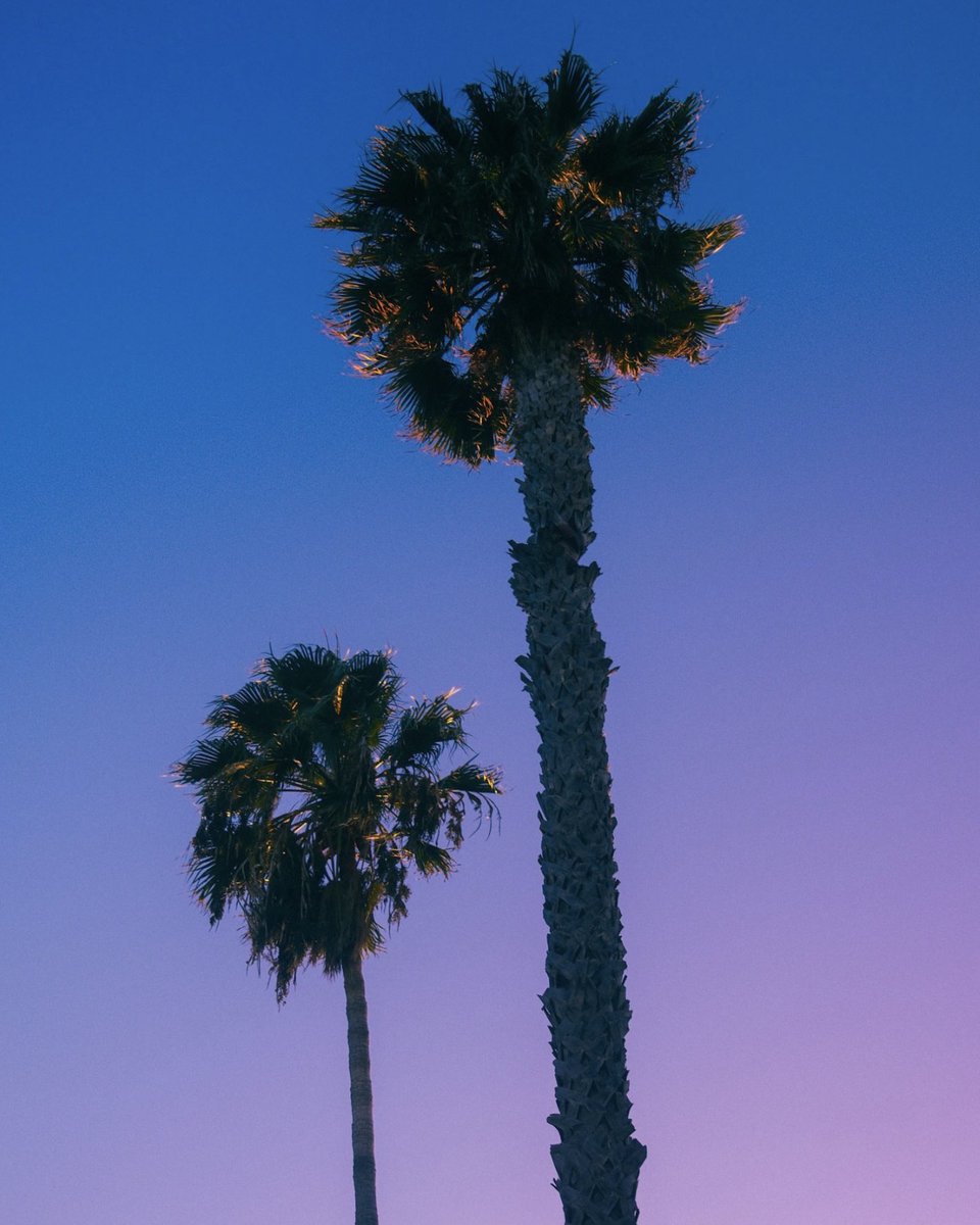 PankajKedia's tweet photo. Happy Holidays.
Thanks to the many friends, family, founders, and fellow investors for a fantastic 2024. May AI make all your dreams come true this holiday season and in 2025.
From the place on earth called heaven 🏖️.
https://t.co/lgyJwRVKql 😎.
#AIDecade
#InvestorDecade
#ShotoniPhone16Pro