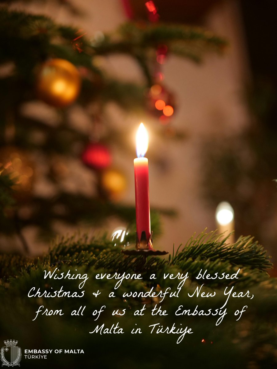 @maltainturkey (@maltainturkey1) on Twitter photo 