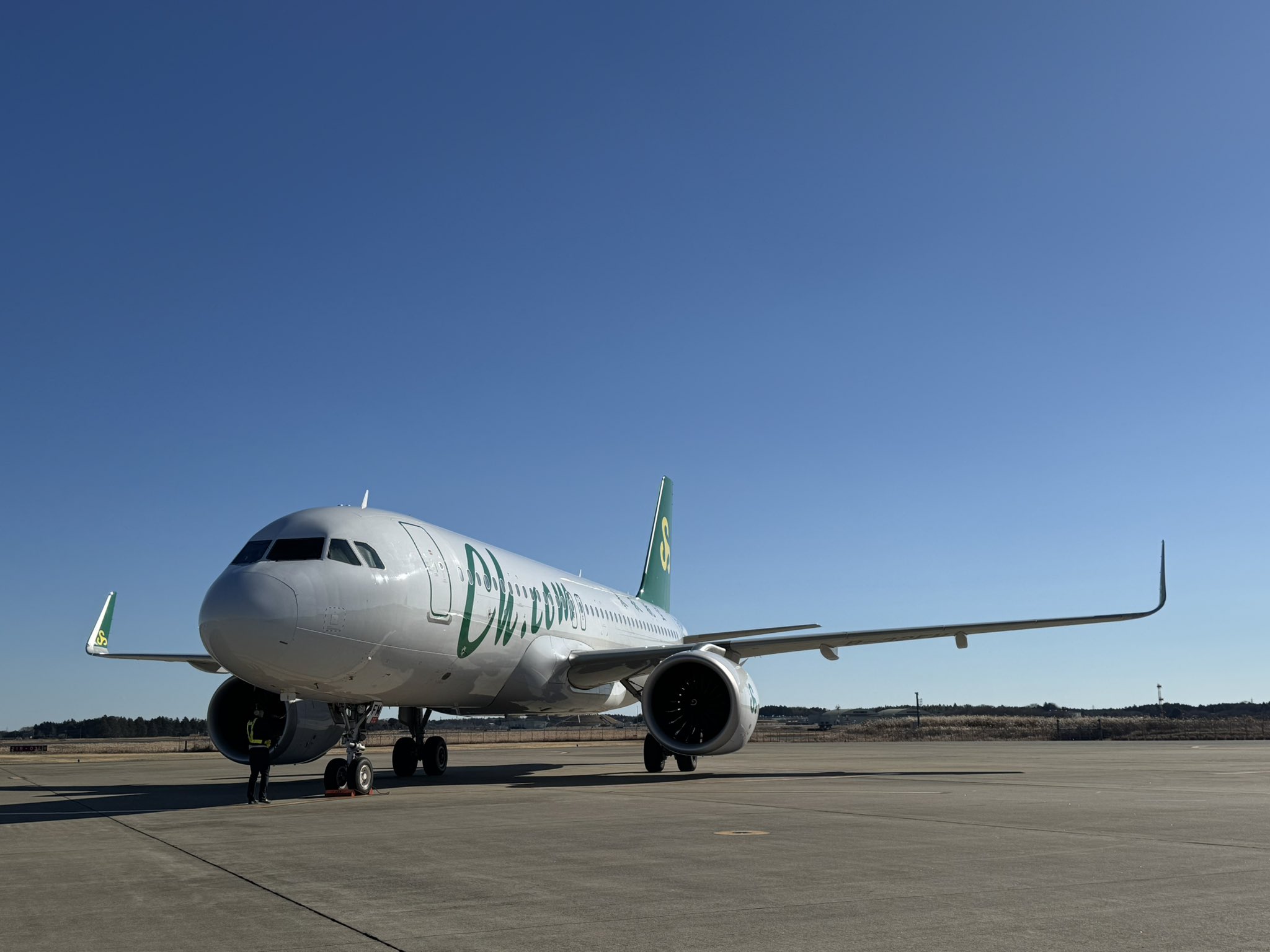 大空へ十年　全日本空輸株式会社 大空へ十年 全日本空輸株式会社（ANAグループの歩み 大空への