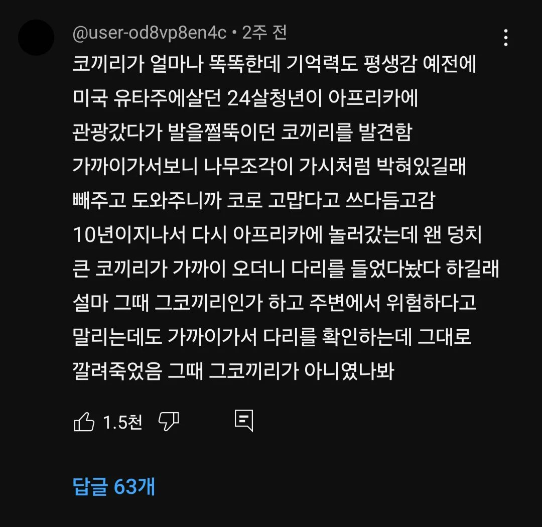 코끼리의 놀라운 지능 수준