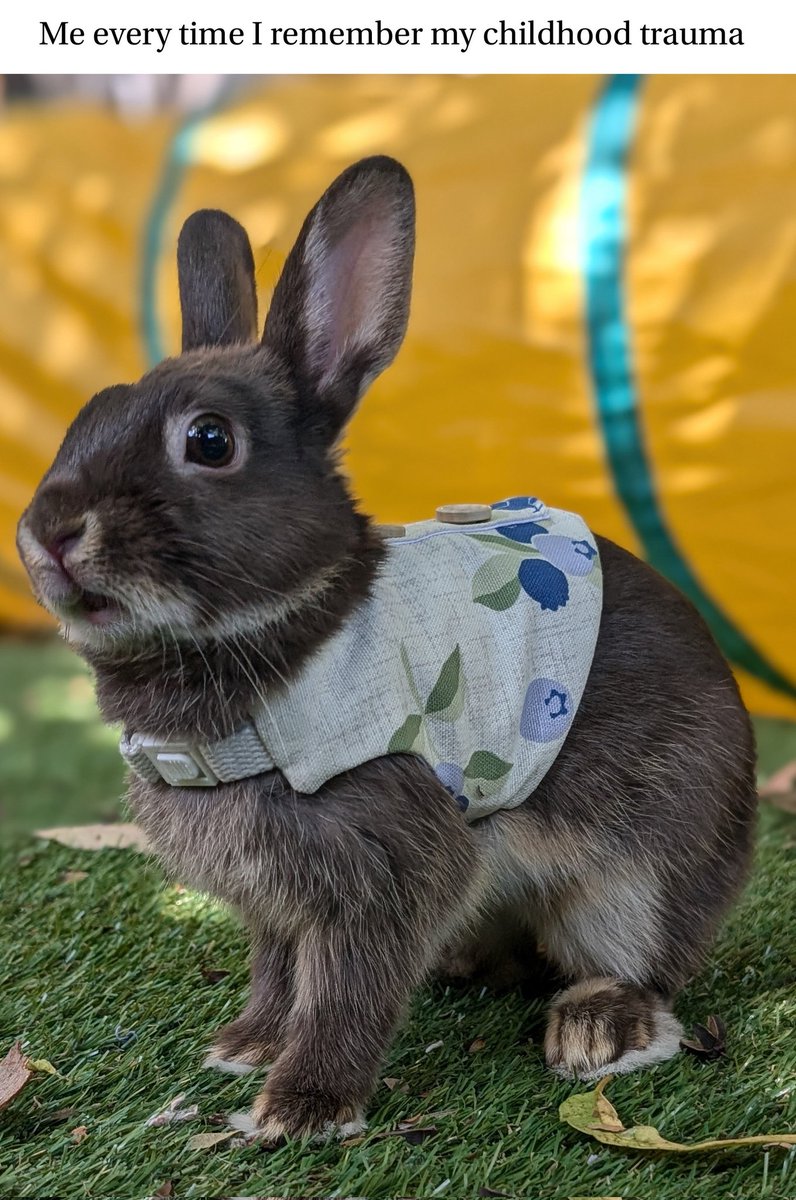 Ezra ✨️ (@ezraetalia) on Twitter photo 