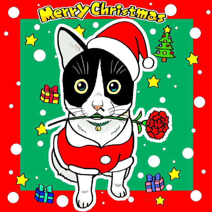 ichibando's tweet photo. Happy Holidays
よいクリスマスを❤️

#MerryChristmas #HAPPYHOLIDAYS #メリークリスマス https://t.co/yAmCUC6TQu