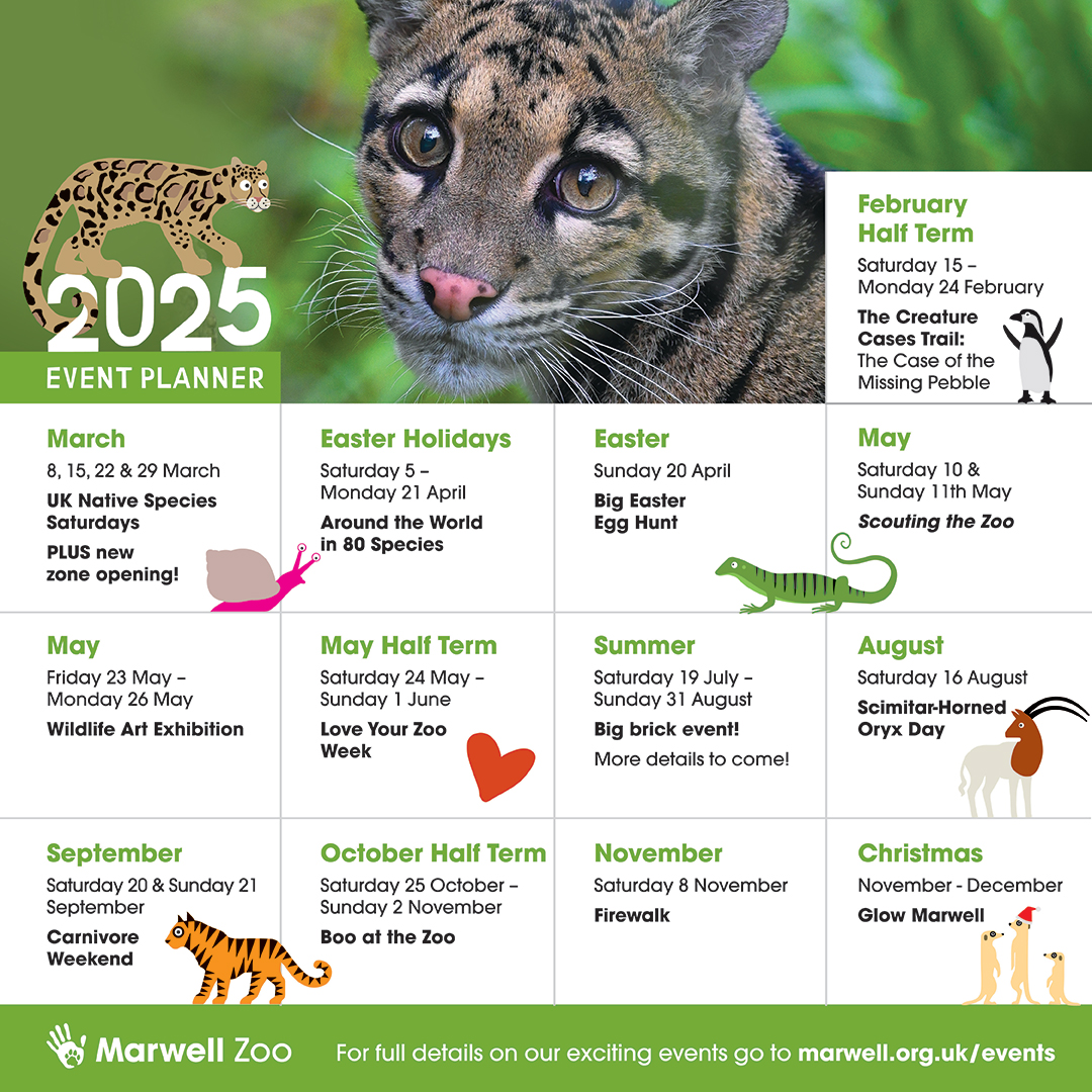 Get ready for an unforgettable 2025 at Marwell Zoo and support our vital conservation work! 🌟
Learn more: bit.ly/4iQSX9n